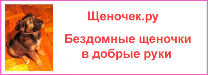 Фрагмент сайта Shenochek.ru
